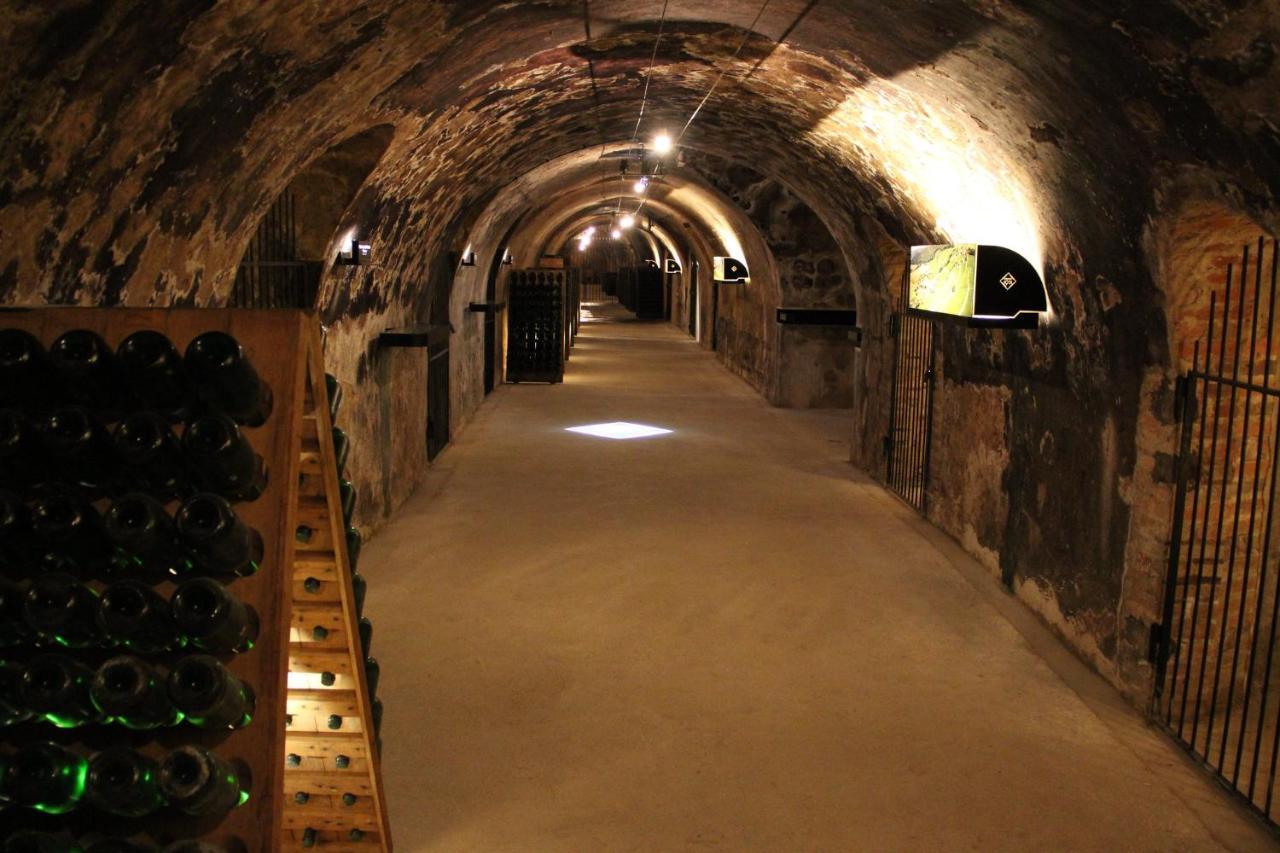Le Cocon Appartement Proche Epernay Et Maisons De Champagne Ay-Champagne Exteriér fotografie