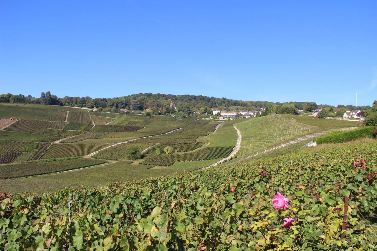 Le Cocon Appartement Proche Epernay Et Maisons De Champagne Ay-Champagne Exteriér fotografie