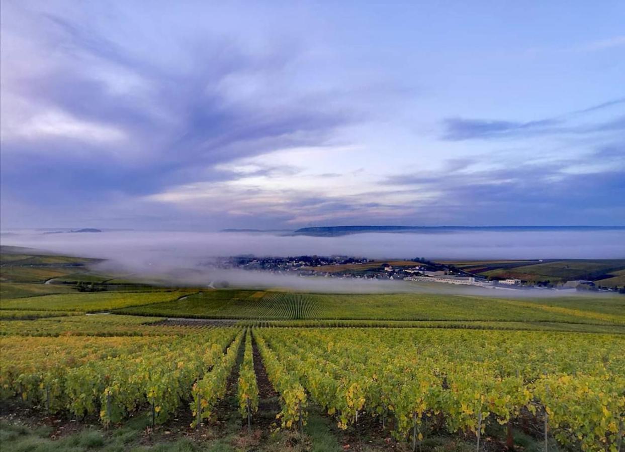 Le Cocon Appartement Proche Epernay Et Maisons De Champagne Ay-Champagne Exteriér fotografie