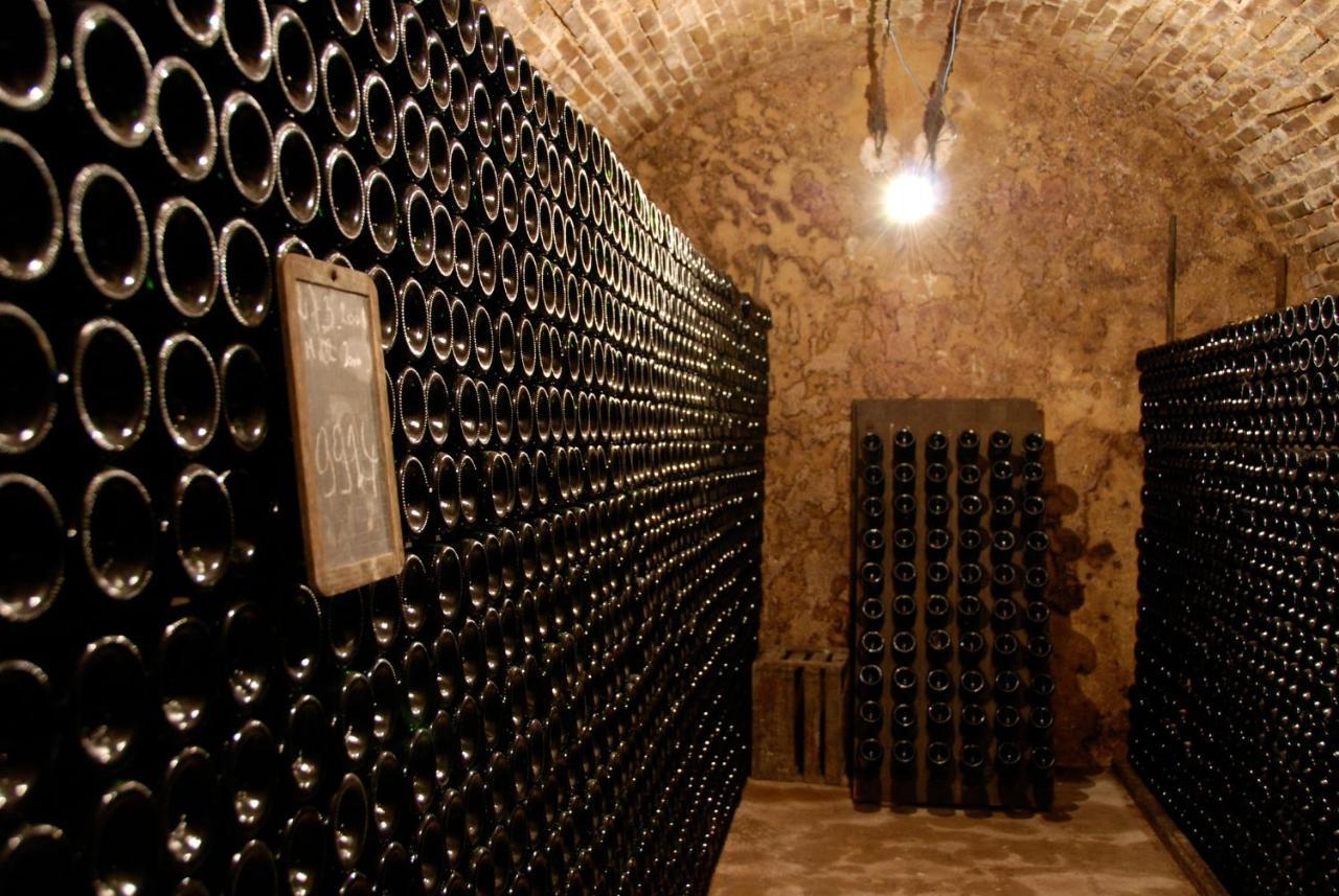 Le Cocon Appartement Proche Epernay Et Maisons De Champagne Ay-Champagne Exteriér fotografie