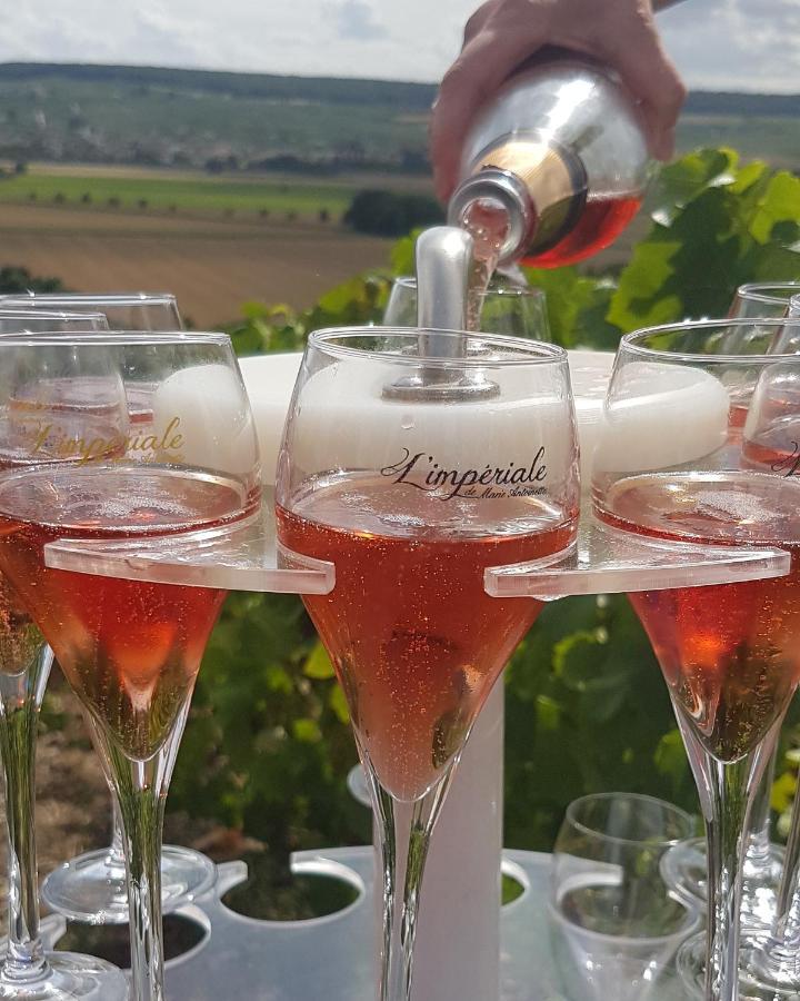 Le Cocon Appartement Proche Epernay Et Maisons De Champagne Ay-Champagne Exteriér fotografie