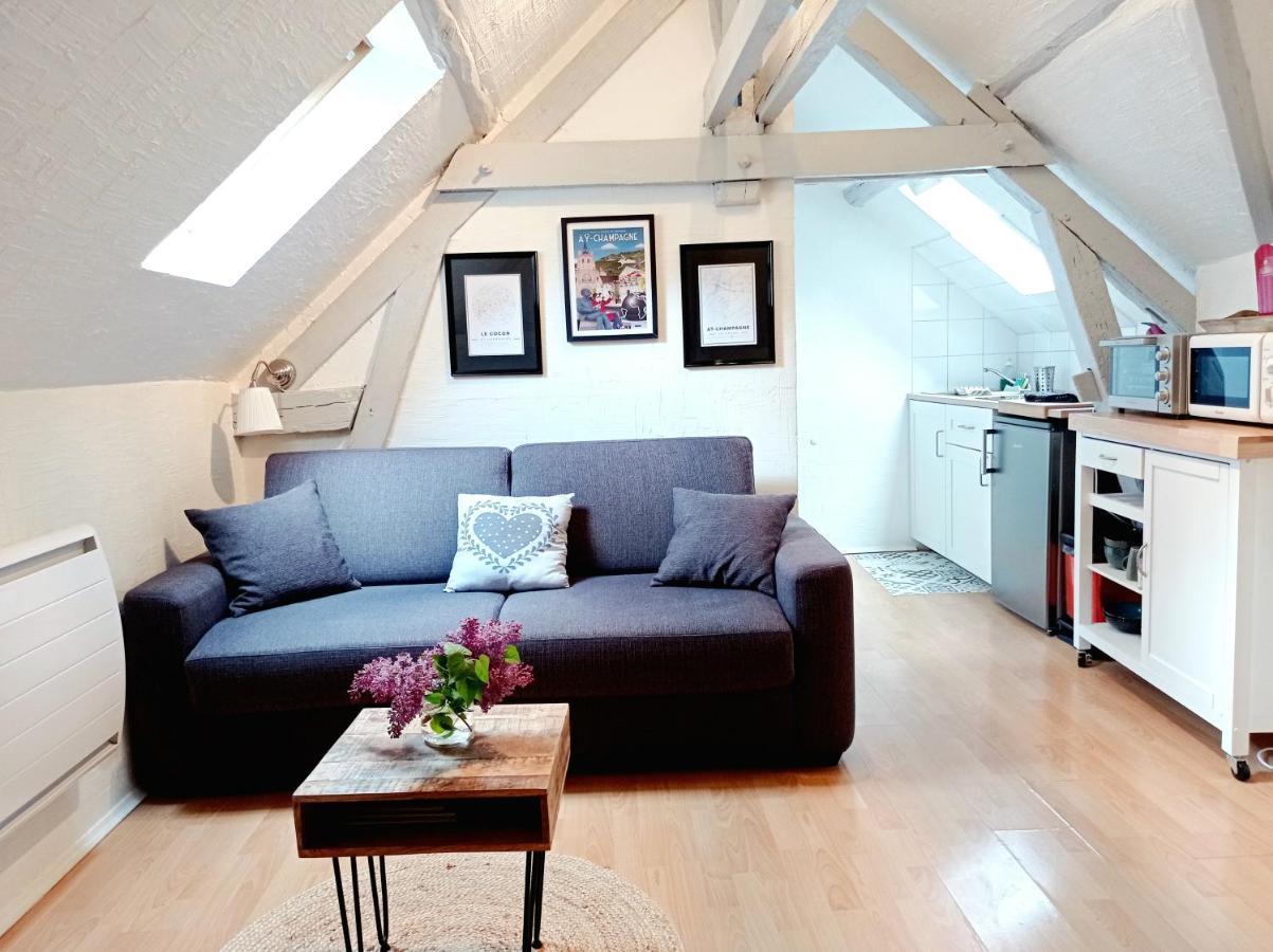Le Cocon Appartement Proche Epernay Et Maisons De Champagne Ay-Champagne Exteriér fotografie