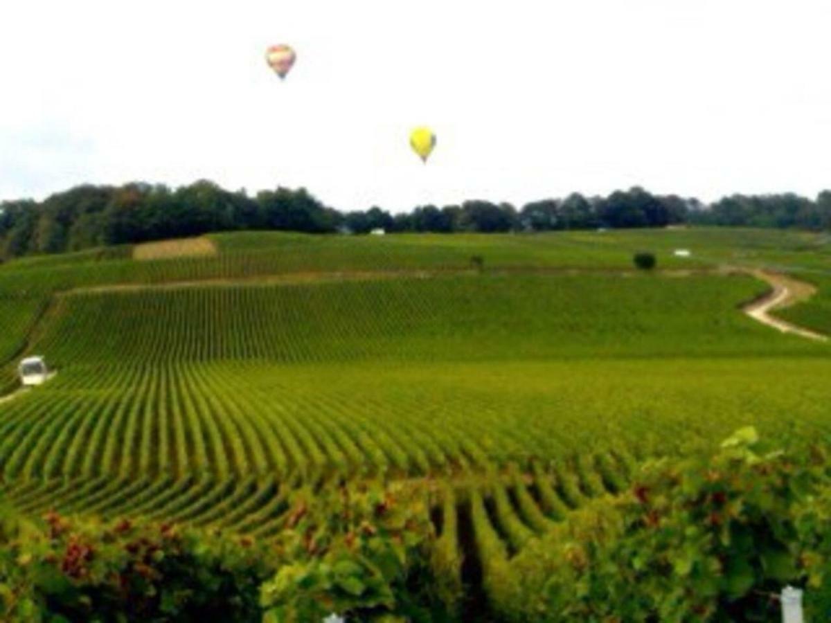 Le Cocon Appartement Proche Epernay Et Maisons De Champagne Ay-Champagne Exteriér fotografie